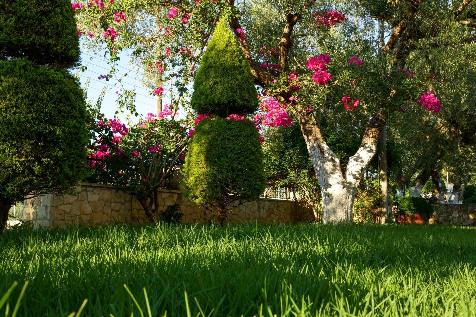 Maria Studios Κερί Εξωτερικό φωτογραφία